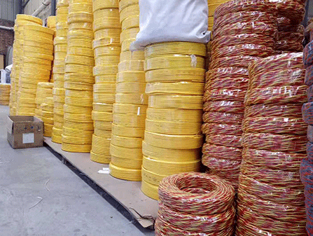 长葛从“点火”到“起爆”,一文读懂背后的科技